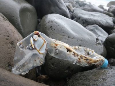 證明“海洋塑料”，需要遵循哪些標(biāo)準(zhǔn)？