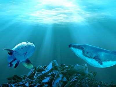 巴斯夫、SABIC、埃萬特多舉措助力海洋塑料回收再利用